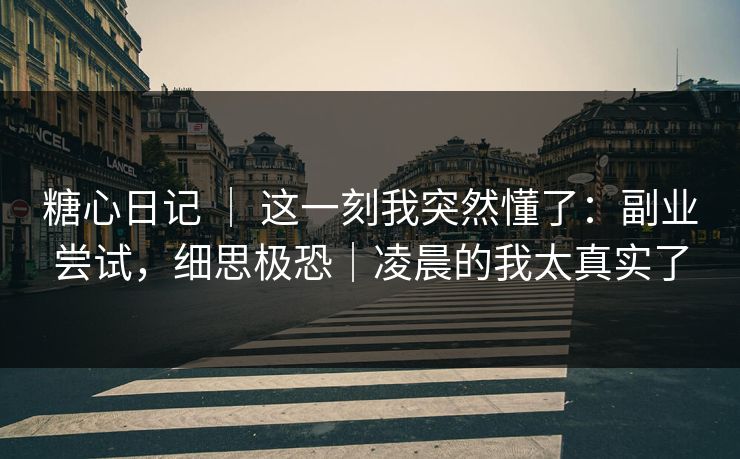 糖心日记 ｜ 这一刻我突然懂了：副业尝试，细思极恐｜凌晨的我太真实了