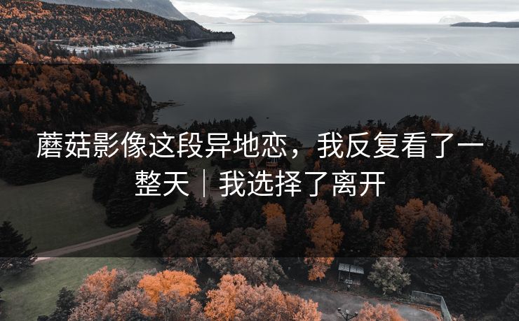 蘑菇影像这段异地恋，我反复看了一整天｜我选择了离开
