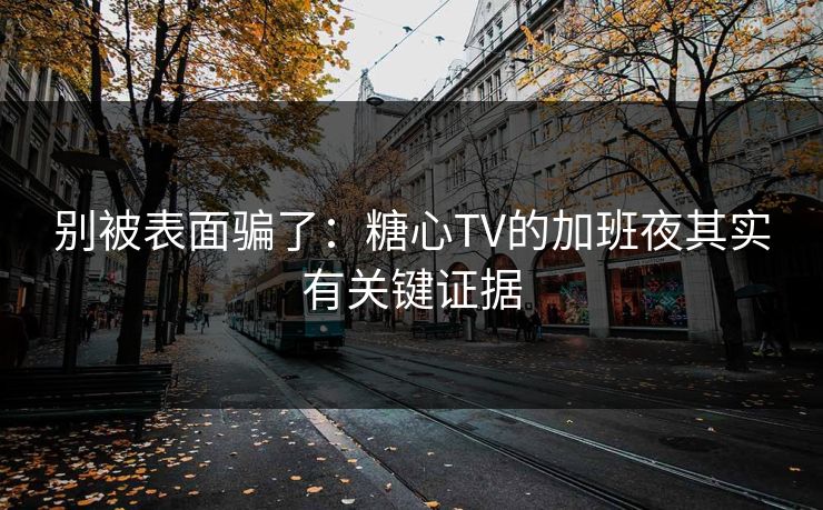 别被表面骗了：糖心TV的加班夜其实有关键证据