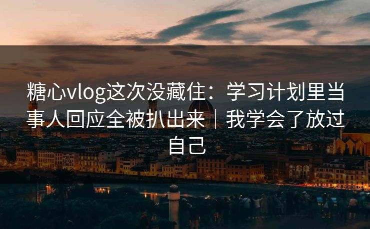 糖心vlog这次没藏住：学习计划里当事人回应全被扒出来｜我学会了放过自己