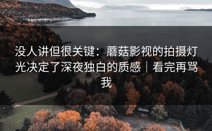 没人讲但很关键：蘑菇影视的拍摄灯光决定了深夜独白的质感｜看完再骂我