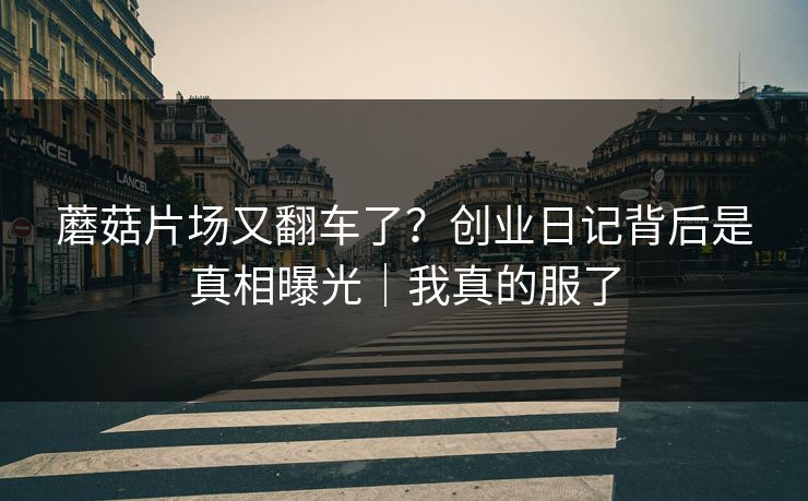 蘑菇片场又翻车了？创业日记背后是真相曝光｜我真的服了