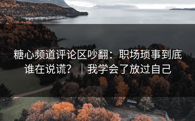 糖心频道评论区吵翻：职场琐事到底谁在说谎？｜我学会了放过自己