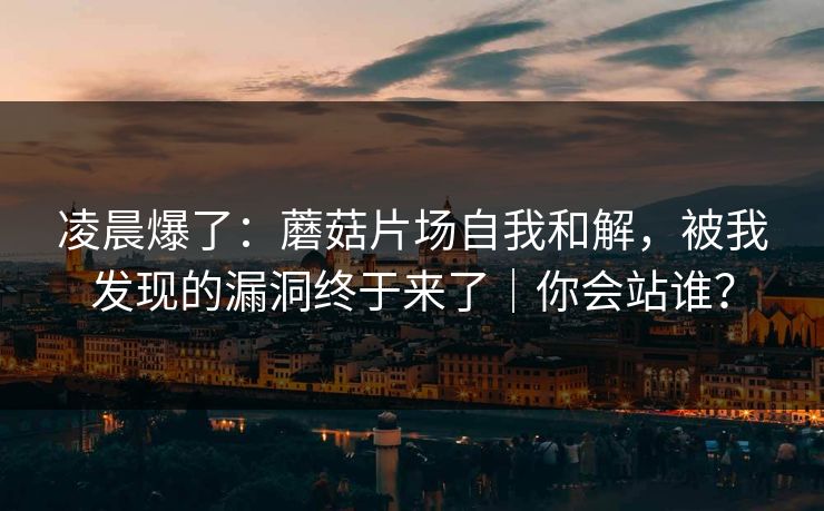 凌晨爆了：蘑菇片场自我和解，被我发现的漏洞终于来了｜你会站谁？