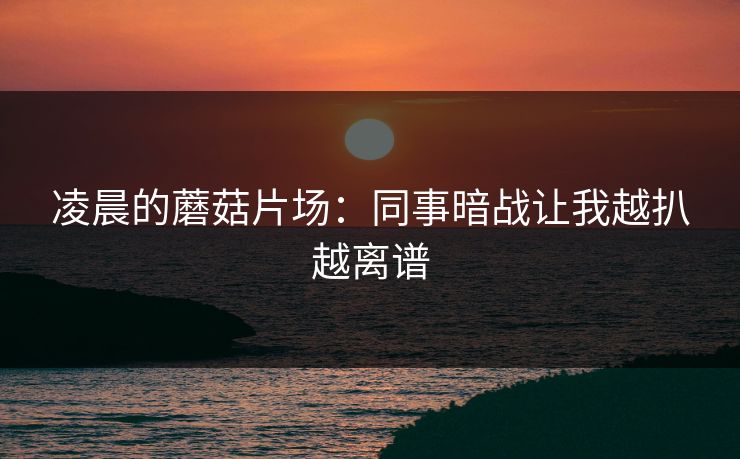 凌晨的蘑菇片场：同事暗战让我越扒越离谱