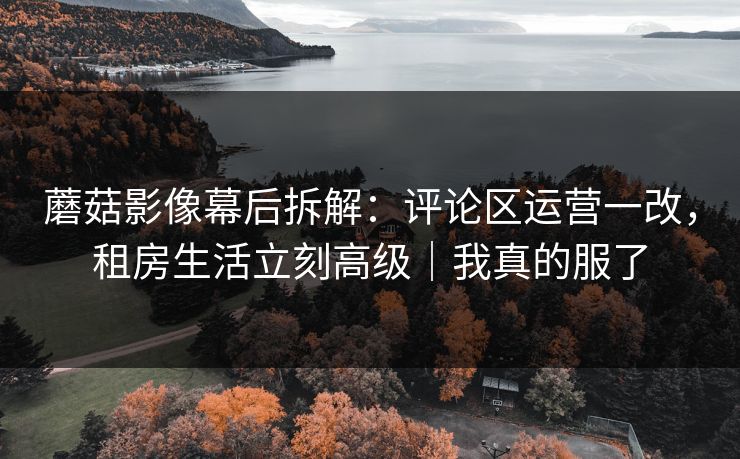 蘑菇影像幕后拆解：评论区运营一改，租房生活立刻高级｜我真的服了