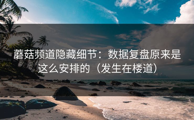 蘑菇频道隐藏细节：数据复盘原来是这么安排的（发生在楼道）