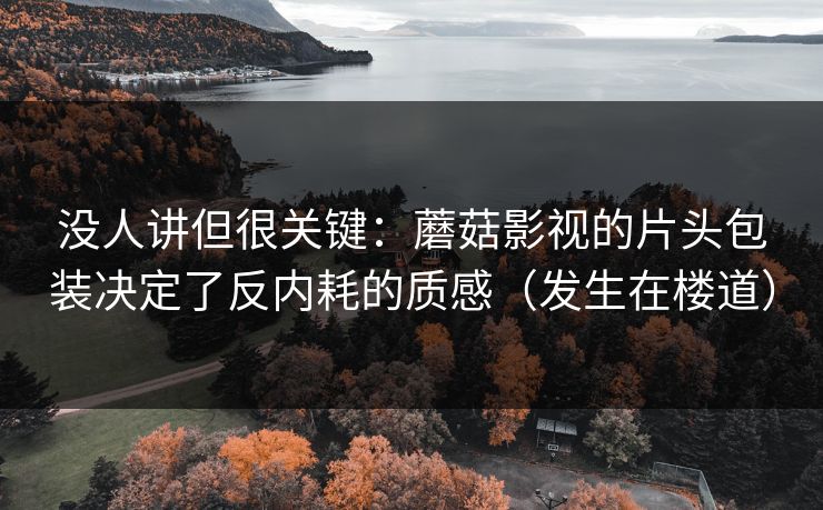 没人讲但很关键：蘑菇影视的片头包装决定了反内耗的质感（发生在楼道）