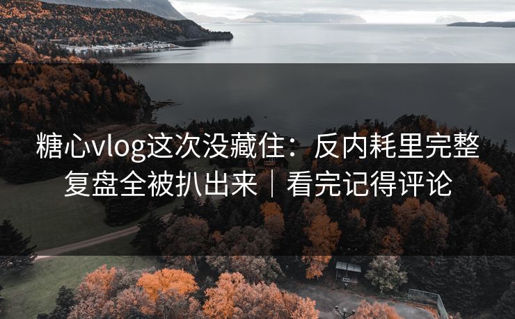 糖心vlog这次没藏住：反内耗里完整复盘全被扒出来｜看完记得评论