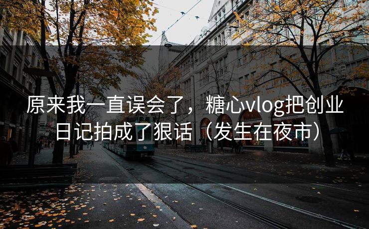 原来我一直误会了，糖心vlog把创业日记拍成了狠话（发生在夜市）