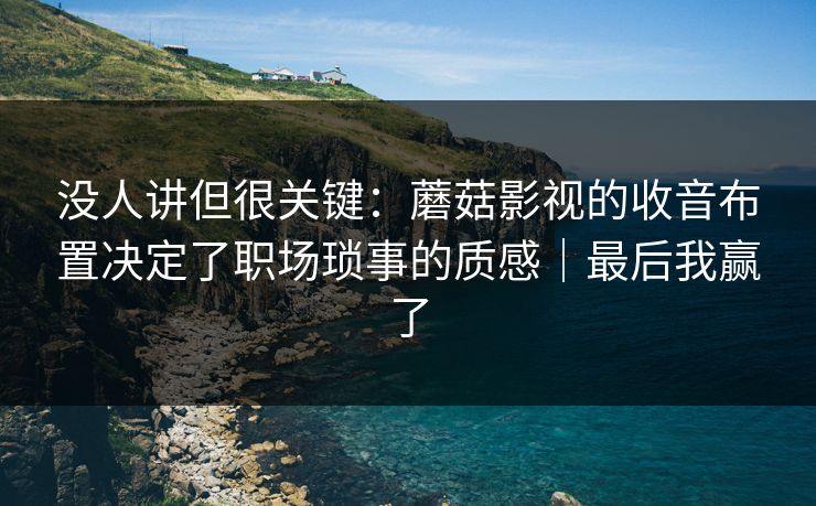 没人讲但很关键：蘑菇影视的收音布置决定了职场琐事的质感｜最后我赢了